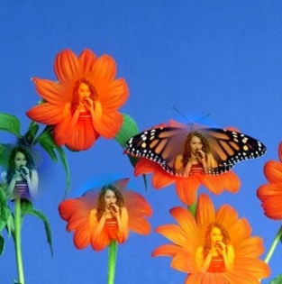 Flowerses_and_butterfly_-_Desktop_Wallpapers - Poze modifikate de mn