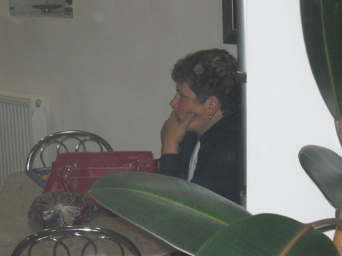 in asteptarea dulciurilor