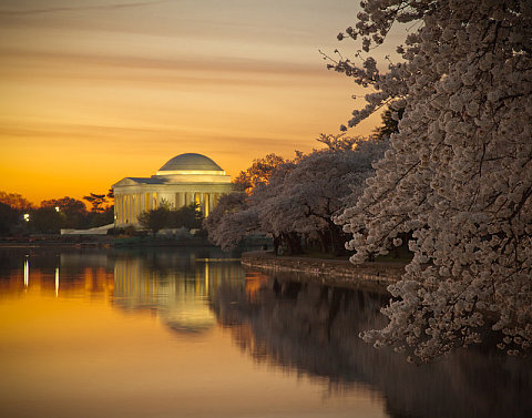 d_Sunrise at Tidal Basin - favorites