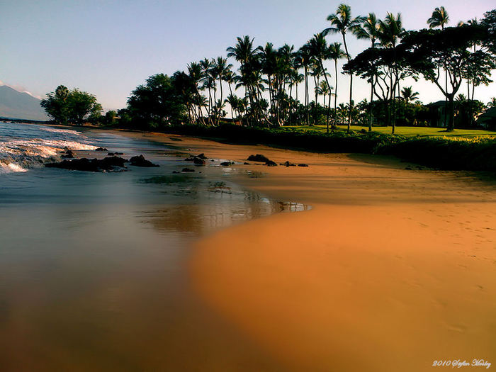 Reminiscing-a21324290