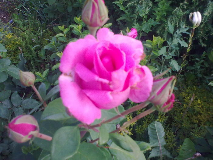 Image0299
