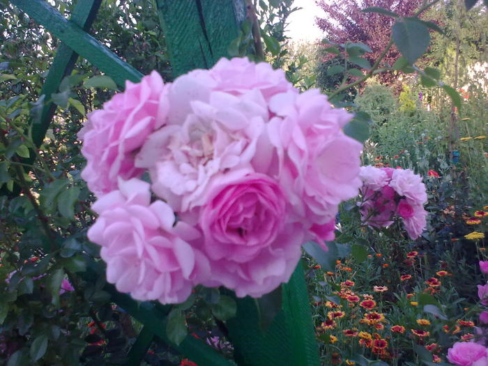 Image0301