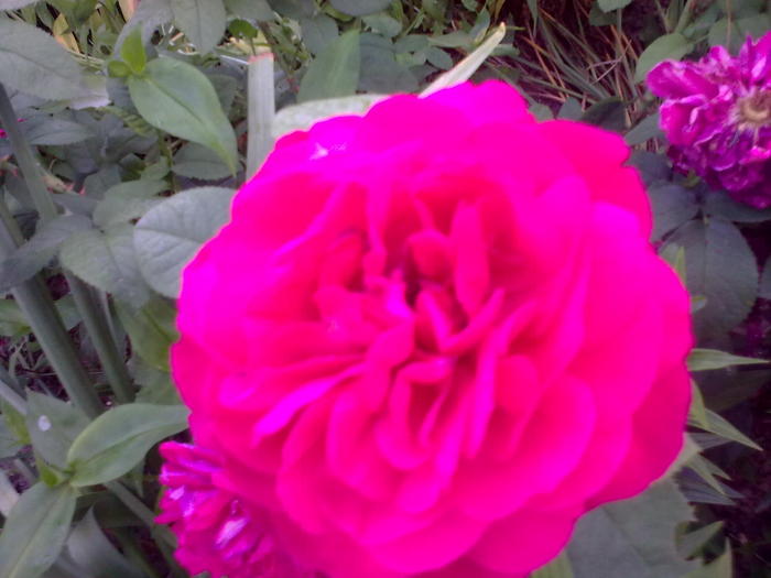 Image0302
