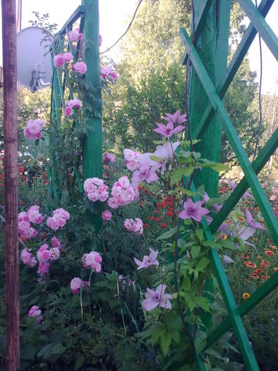 Image0303