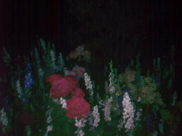Image0364 - trandafiri 2010