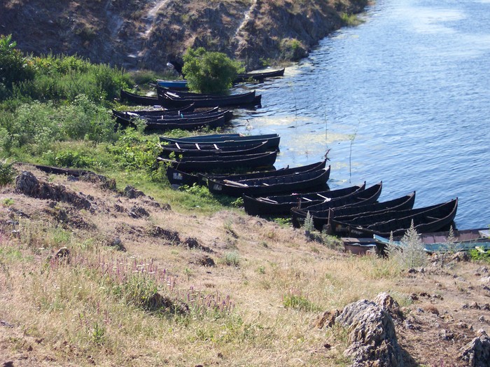 - somova delta dunarii foto