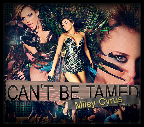 4586053393_ceb8a12af2 - miley cyrus-cant be tamed