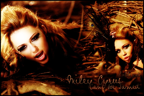 4603977454_cfbbaaeb39 - miley cyrus-cant be tamed