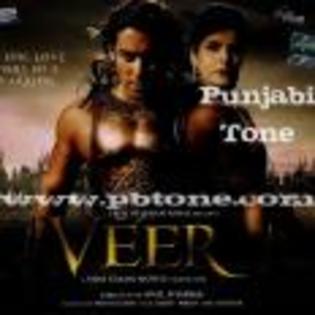 Veer_1267624991_1_2010 - veer