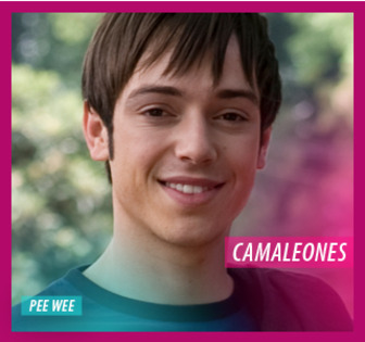 10754087_CXFGXMMLI - Pee Wee