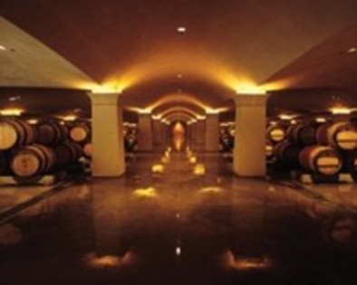 sala de vinuri - sala de vinuri