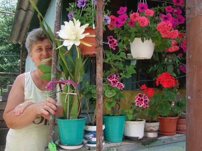 florile si soacra - muscate si alte curgatoare