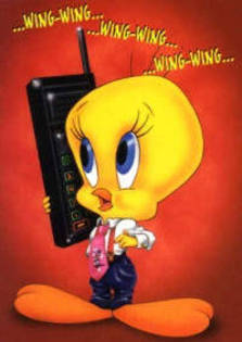 FDNWFABZWHXILAQUISJ - Tweety