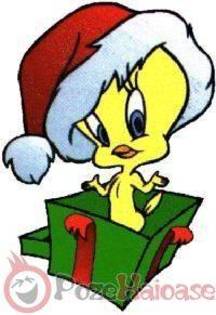 JRNGJJBQWZBUQKMDVWO - Tweety