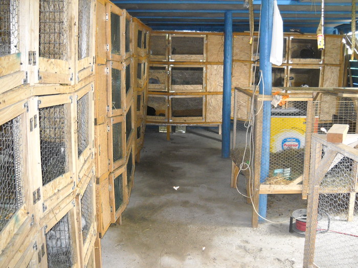 DSCN4003 - crescatoria mea