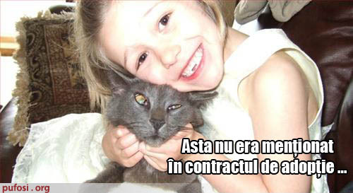 poze-amuzante-pisica-chinuita-de-copil - Poze amuzante