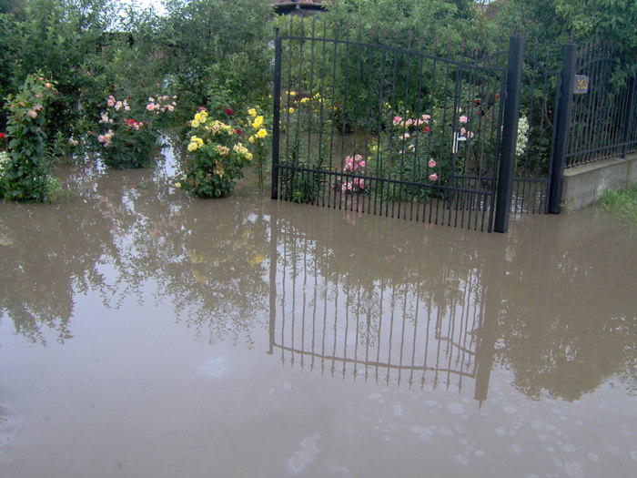 inundatii 22.06.2010