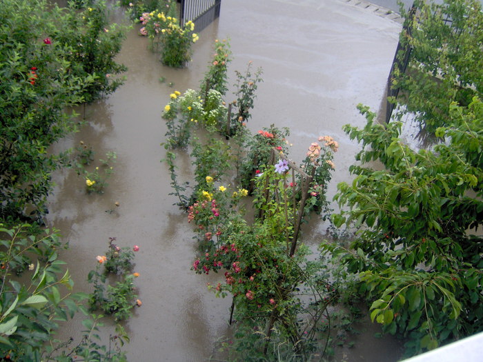 inundatii - 22.06.2010 - inundatii 22 06 2010