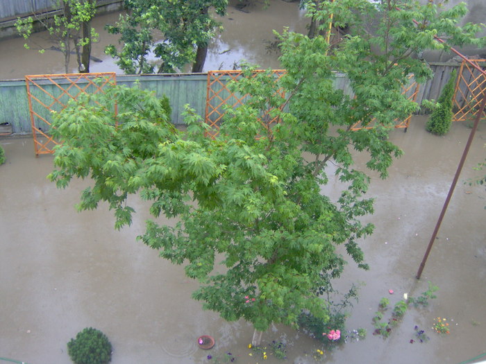 inundatii - 22.06.2010 010