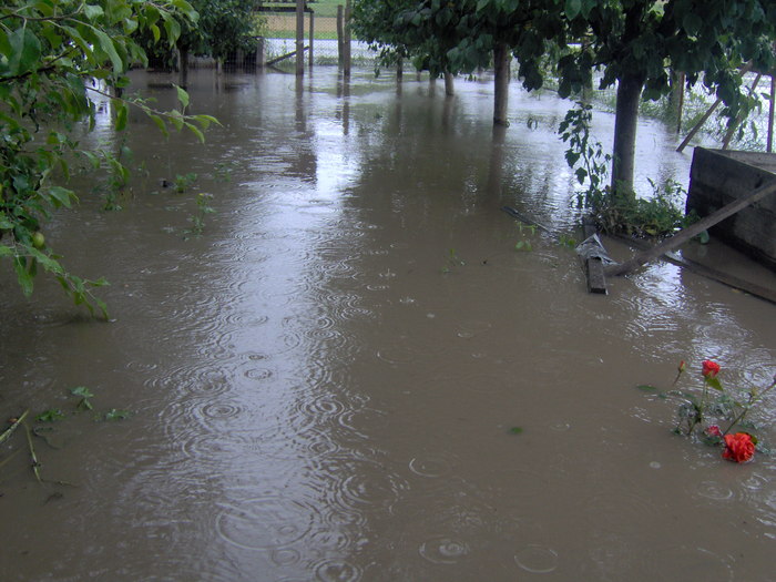 inundatii - 22.06.2010 013 - inundatii 22 06 2010