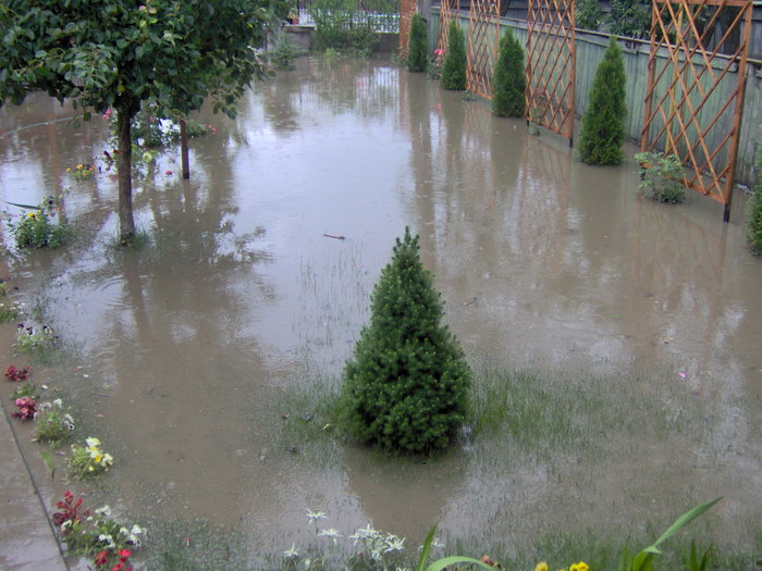 inundatii - 22.06.2010 019
