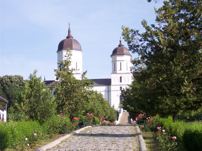manastirea celic - manastirea CELIC