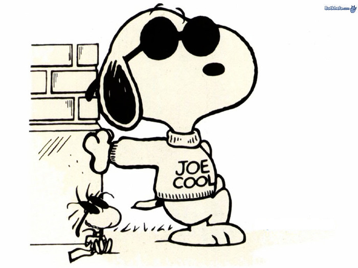 woodstock-snoopy-joe-cool - poze cool