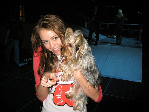 6699_miley_cyrus_1202434949