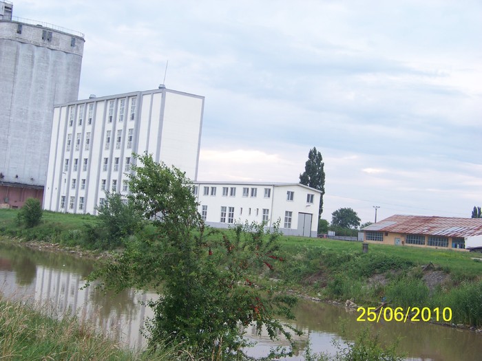 100_3594 - La plimbare pe malul Bega Timisoara