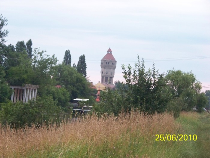 100_3702 - La plimbare pe malul Bega Timisoara