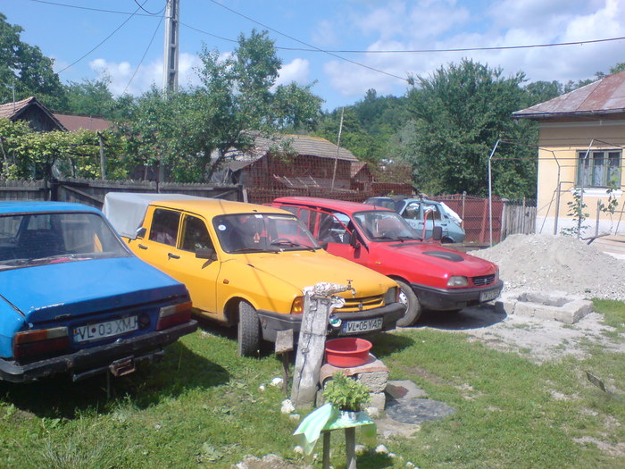 DSC02802 - VALCEA 06 2010