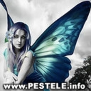 avatare poze ingeri ultimul episod din ingerasii you tube adela popescu ingerasii you tube adela pop