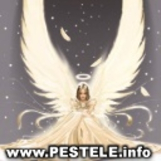 avatare poze ingeri un inger pereche un inger pereche un inger pereche un inger pereche