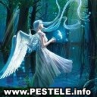 avatare poze ingeri videoclipul ingerasii videoclipul ingerasii videoclipul ingerasii videoclipul in