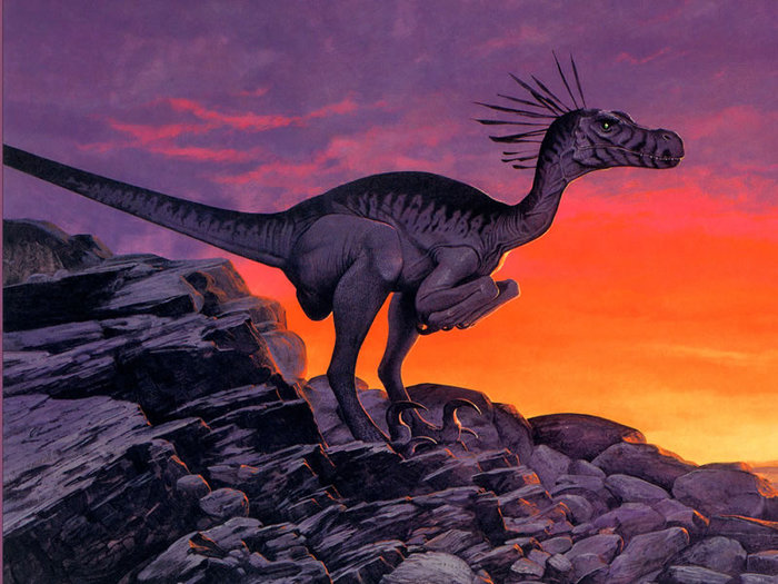 417_800 - Fantasy-fantastice