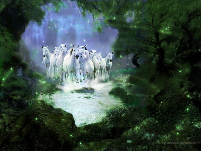 470_800 - Fantasy-fantastice
