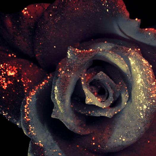 Vampire_Rose_by_kaboomachu - rose