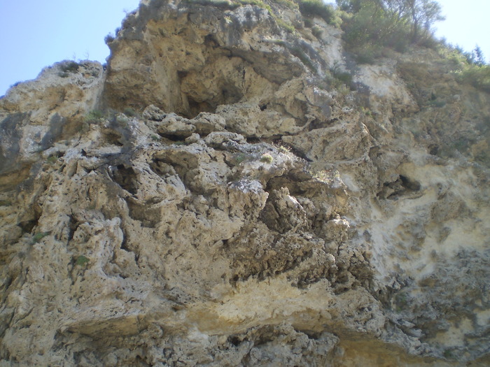P1010547