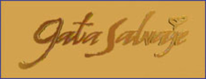 Gata salvaje - Pisica salbatica- Gata salvaje