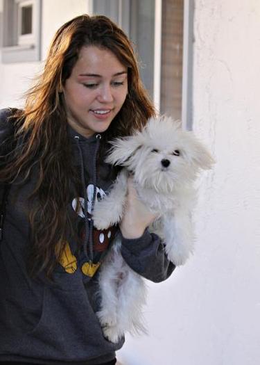 miley_cyrus_and_new_pet_pooch_shoot_a_video - Miley Cyrus
