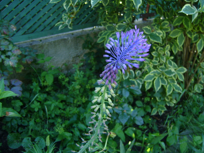 DSC07089
