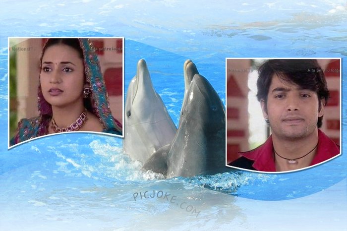 9-hi-15a415f93f1e509693e084fa9ed053ec