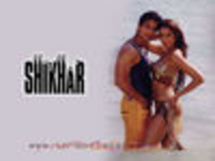 thumb_shikharwall_004 - Shikhar