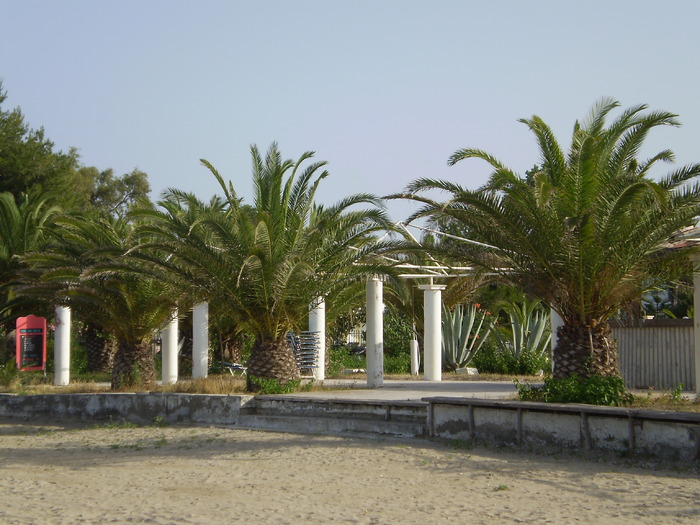 P1010385