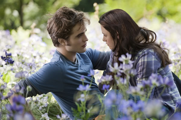 1 - The Twilight Saga