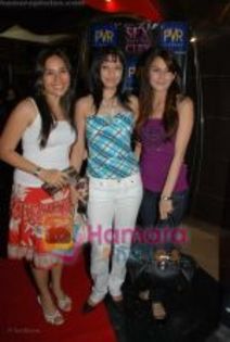 thumb_Arzoo Govitikar at the Premiere of Sex and The City in PVR on June 4th 2008(3)