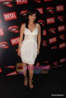thumb_Arzoo Govitrikar at Diesel launch in Palladium on 29th April 2010 (3)