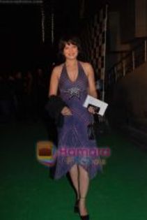 thumb_Arzoo Govitrikar at Victory premiere on 29th Jan 2009 (12)