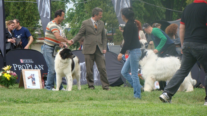  - 3-CAC BUCURESTI-15-05-2010