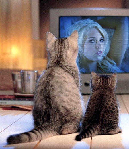 R_dXyO6p0b368cFxURZ9tw